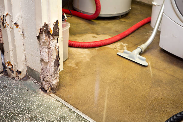 emergency basement leak repair company Fairport, NY